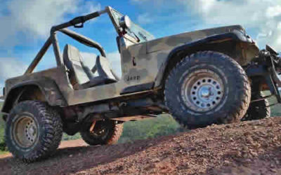 Cas client de pièces de boîtes de vitesse de voiture de collection